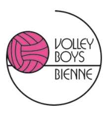 logo-volleyboys.png